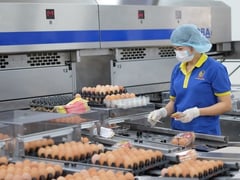 Đọc nhanh bài viết 1019563