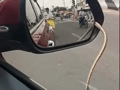 Đọc nhanh bài viết 1019683