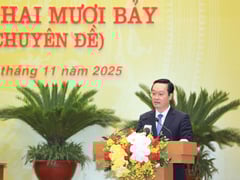 Đọc nhanh bài viết 1019783