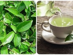 Đọc nhanh bài viết 1019784