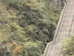 Đọc nhanh bài viết 1019785