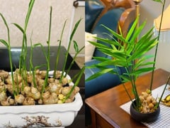 Đọc nhanh bài viết 1019831