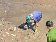 Đọc nhanh bài viết 1019850