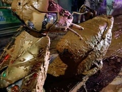 Đọc nhanh bài viết 1020015