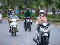 Đọc nhanh bài viết 1020027