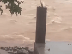 Đọc nhanh bài viết 1020033