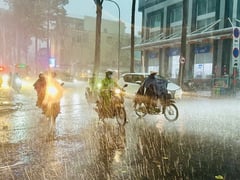 Đọc nhanh bài viết 1020049