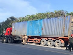 Đọc nhanh bài viết 1020226