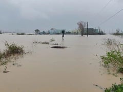 Đọc nhanh bài viết 1020243