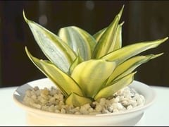 Đọc nhanh bài viết 1020323