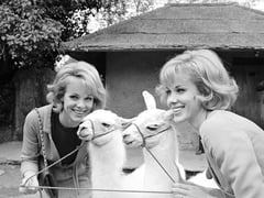 Đọc nhanh bài viết 1020334