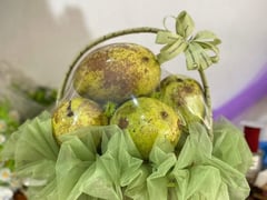 Đọc nhanh bài viết 1020355