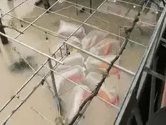 Đọc nhanh bài viết 1020404