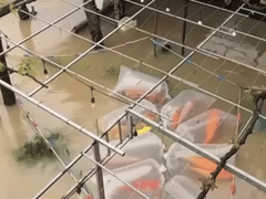 Đọc nhanh bài viết 1020404