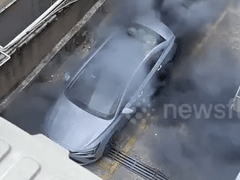 Đọc nhanh bài viết 1020558