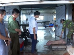 Đọc nhanh bài viết 1020708