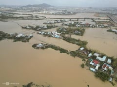 Đọc nhanh bài viết 1020726