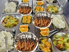 Đọc nhanh bài viết 1020755