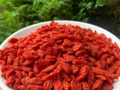 Đọc nhanh bài viết 1020762