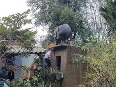 Đọc nhanh bài viết 1020786