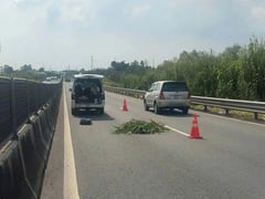 Đọc nhanh bài viết 1020791