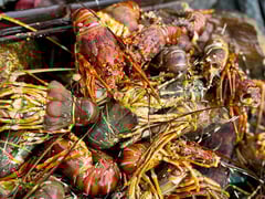 Đọc nhanh bài viết 1020845