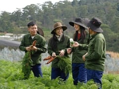 Đọc nhanh bài viết 1020880