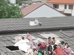 Đọc nhanh bài viết 1020950