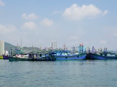 Đọc nhanh bài viết 1021036