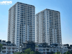 Đọc nhanh bài viết 1021048