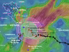 Đọc nhanh bài viết 1021050