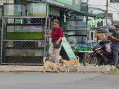 Đọc nhanh bài viết 1021058