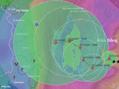 Đọc nhanh bài viết 1021106