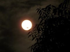 Đọc nhanh bài viết 1021123