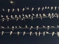 Đọc nhanh bài viết 1021130