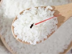 Đọc nhanh bài viết 1021283