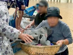 Đọc nhanh bài viết 1021335