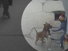 Đọc nhanh bài viết 1021384