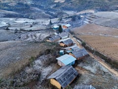 Đọc nhanh bài viết 1021434