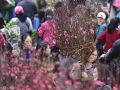 Đọc nhanh bài viết 1021501