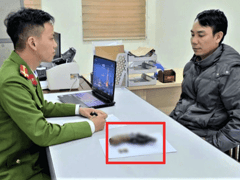 Đọc nhanh bài viết 1021544