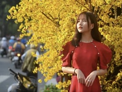 Đọc nhanh bài viết 1021557