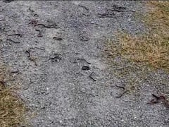 Đọc nhanh bài viết 1021600