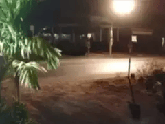 Đọc nhanh bài viết 1021677