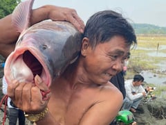 Đọc nhanh bài viết 1021679