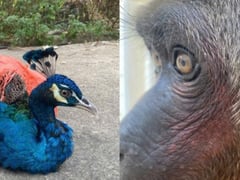 Đọc nhanh bài viết 1021684