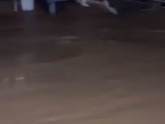 Đọc nhanh bài viết 1021877