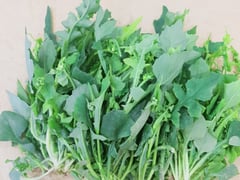 Đọc nhanh bài viết 1021891