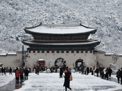 Đọc nhanh bài viết 1022016