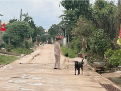 Đọc nhanh bài viết 1022048